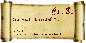 Csegedi Barnabás névjegykártya